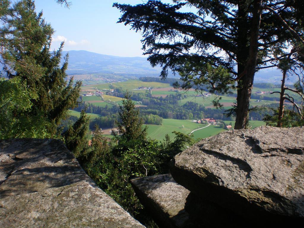 Villa Wiesenbauer - Schlogl Anton à Grafendorf bei Hartberg Extérieur photo